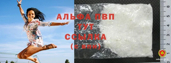 шишки Арсеньев