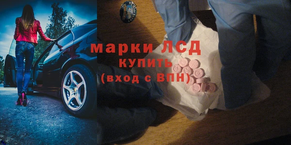шишки Арсеньев