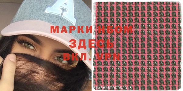 шишки Арсеньев