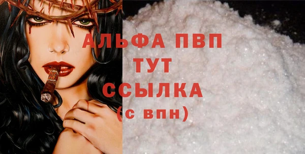 шишки Арсеньев