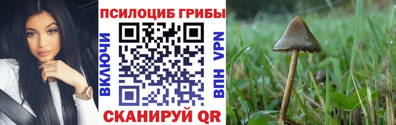 mega сайт  Ипатово  Псилоцибиновые грибы ЛСД 