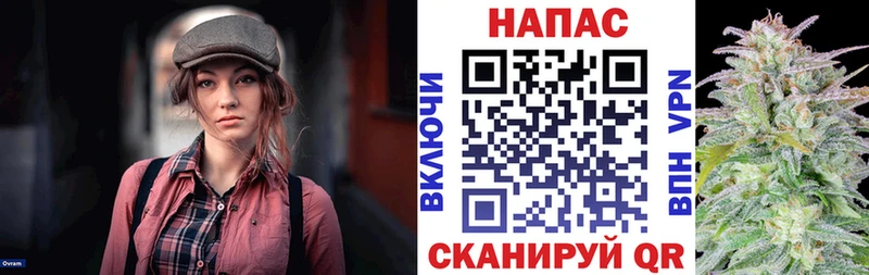 купить наркоту  Ипатово  Конопля OG Kush 